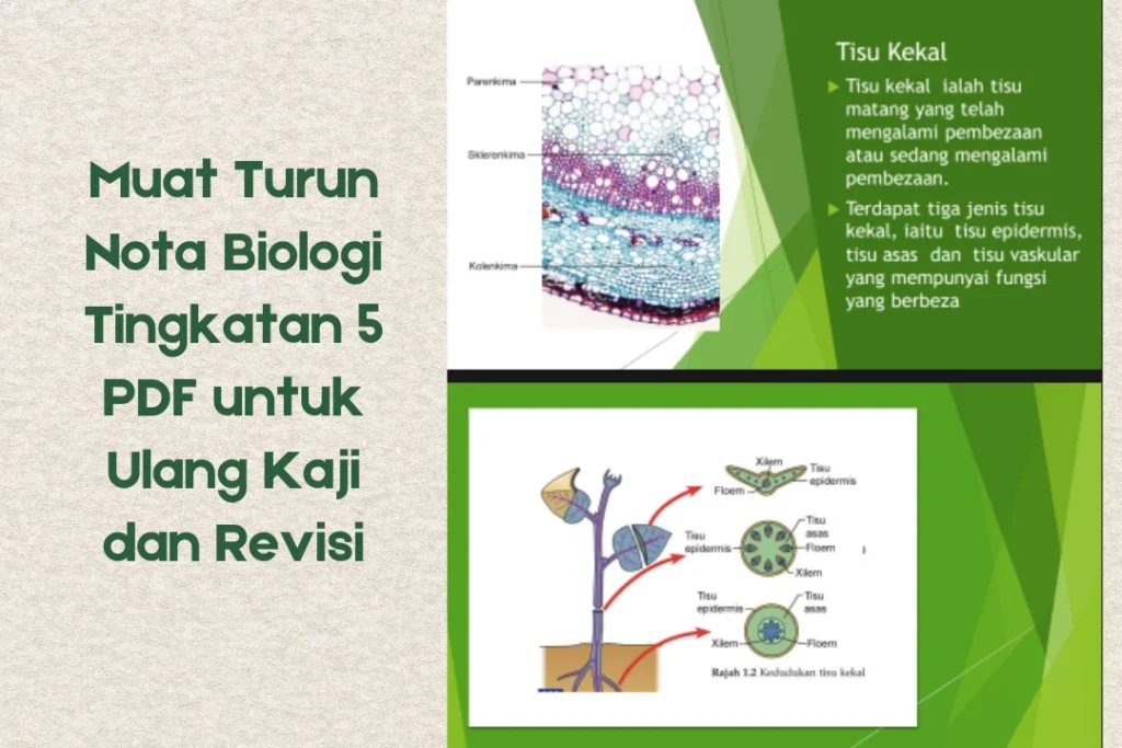 nota biologi tingkatan 5