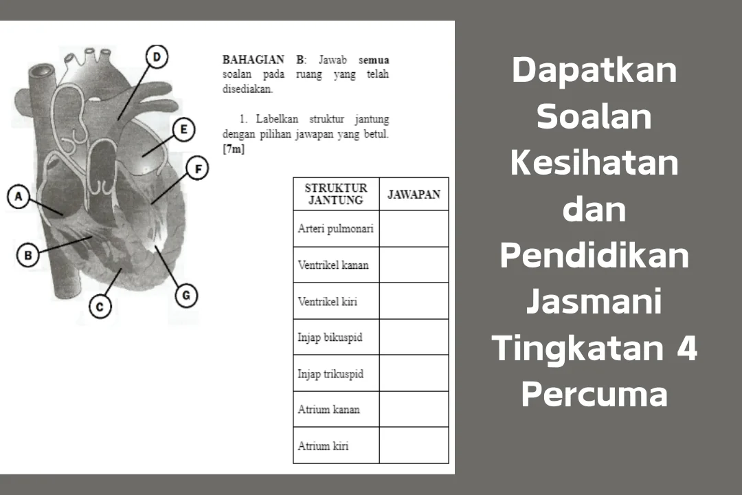 soalan pendidikan jasmani dan kesihatan tingkatan 4