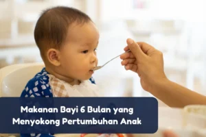 makanan bayi 6 bulan